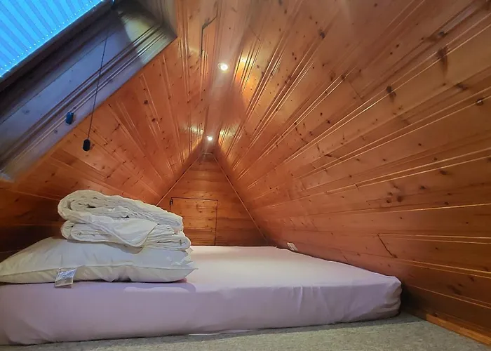 Zum Holzwurm Apartament